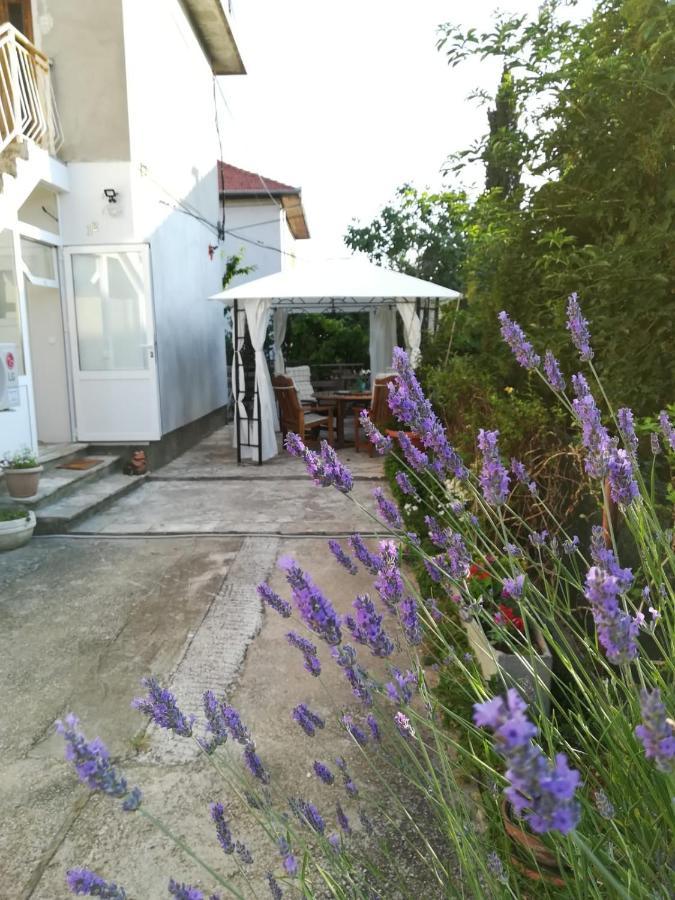 Lili Apartment In Zadar Pet Friendly, Free Parking 外观 照片